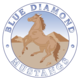 Blue Diamond Elementary