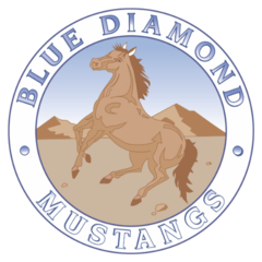 Blue Diamond Elementary