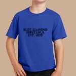 Youth T-Shirt - Blue Diamond Thumbnail