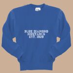 Youth Crewneck - Blue Diamond Thumbnail